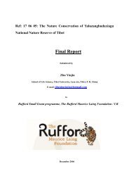 Detailed Final Report - The Rufford Small Grants Foundation