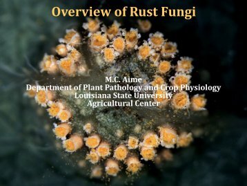 Overview of Rust Fungi - Plant Management Network
