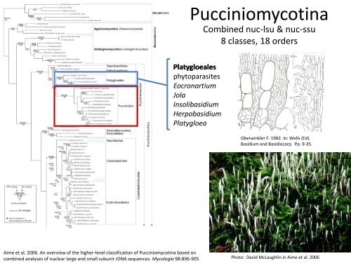 Overview of Rust Fungi - Plant Management Network