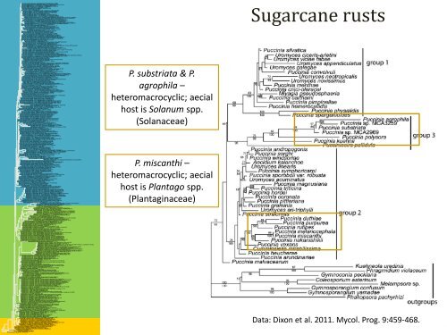 Overview of Rust Fungi - Plant Management Network