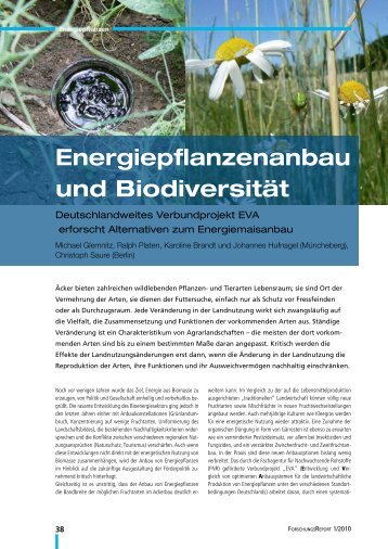 Energiepflanzenanbau und Biodiversität - BMELV-Forschung