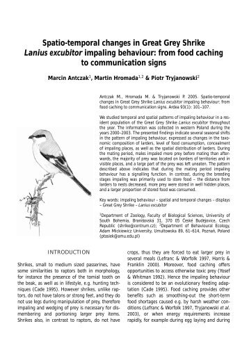 Spatio-temporal changes in Great Grey Shrike Lanius excubitor ...