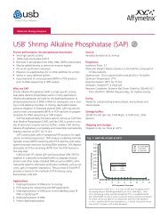 USB® Shrimp Alkaline Phosphatase (SAP)