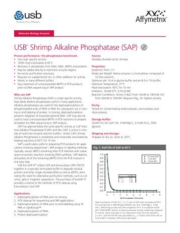 USB® Shrimp Alkaline Phosphatase (SAP)