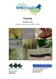 Fische