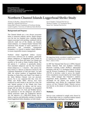 Northern Channel Islands Loggerhead Shrike Study - National Park ...