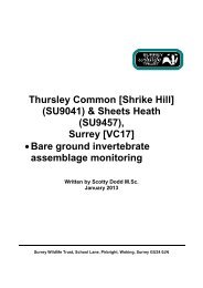 Thursley Common [Shrike Hill] (SU9041) & Sheets Heath (SU9457 ...