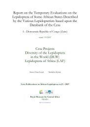 Report on the Temporary Evaluations on the Lepidoptera of Some ...