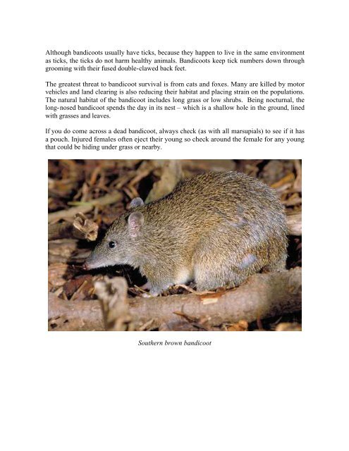 Bandicoots - Wildlife Protection Society of Australia