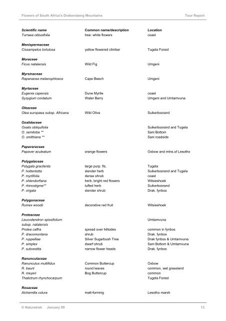 Flowers of South Africa's Drakensberg Mountains - Naturetrek