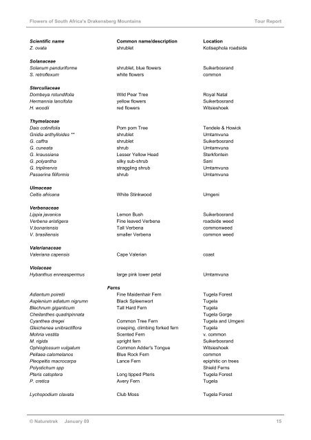 Flowers of South Africa's Drakensberg Mountains - Naturetrek