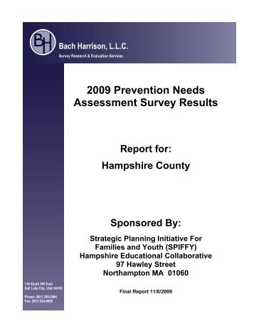 2009 Prevention Needs Assessment Survey Results - spiffy