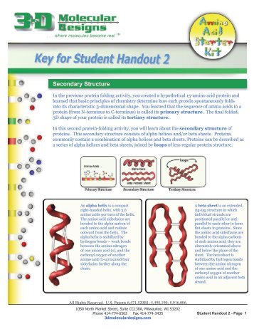 Secondary Structure - 3D Molecular Designs