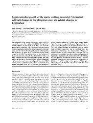 Light-controlled growth of the maize seedling mesocotyl: Mechanical ...