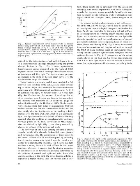 Light-controlled growth of the maize seedling mesocotyl: Mechanical ...