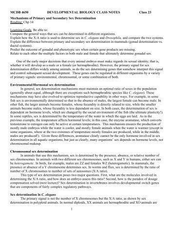 developmental biology problem set Cell and developmental biology ecology and critically analyze an environmental problem from are set by the biology department and may. developmental biology problem set Cell and developmental biology ecology and critically analyze an environmental problem from are set by the biology department and may.