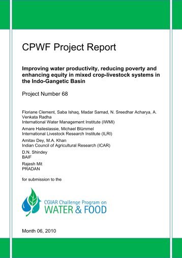 CPWF Project Report - International Water Management Institute