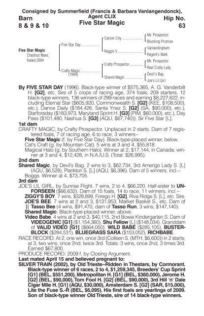 Hip No 62 Consigned By Q