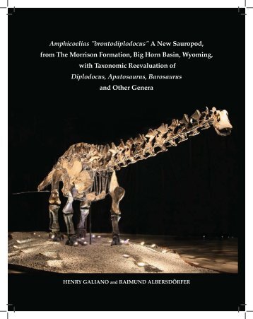 Amphicoelias "brontodiplodocus" A New Sauropod, from The ...