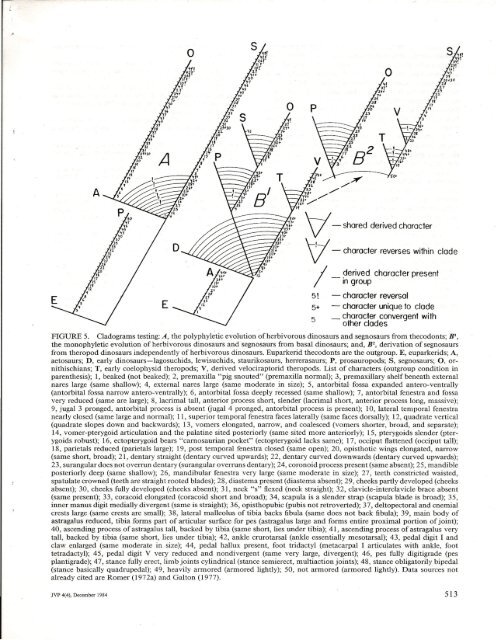 THE SEGNOSAURIAN DINOSAURS: RELICS OF ... - Gregory S. Paul