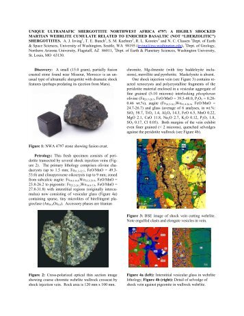 Unique Ultramafic Shergottite Northwest Africa 4797 - meteoris.de