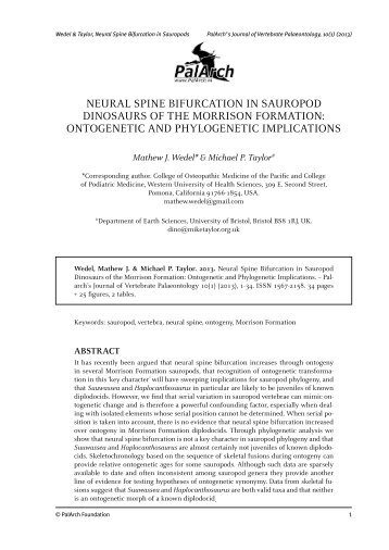 neural spine bifurcation in sauropod dinosaurs of the - PalArch