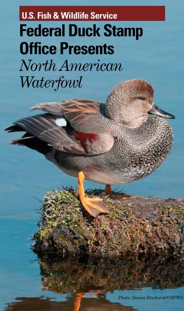 Federal Duck Stamp Office Presents - U.S. Fish and Wildlife Service