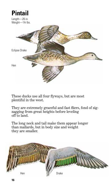 Federal Duck Stamp Office Presents - U.S. Fish and Wildlife Service