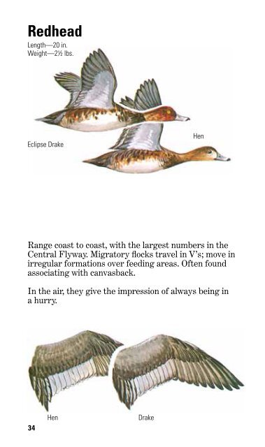 Federal Duck Stamp Office Presents - U.S. Fish and Wildlife Service