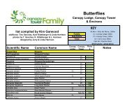 Butterfly Checklist - Canopy Tower