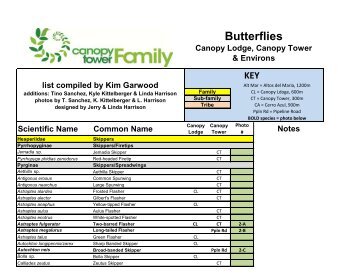 Butterfly Checklist - Canopy Tower