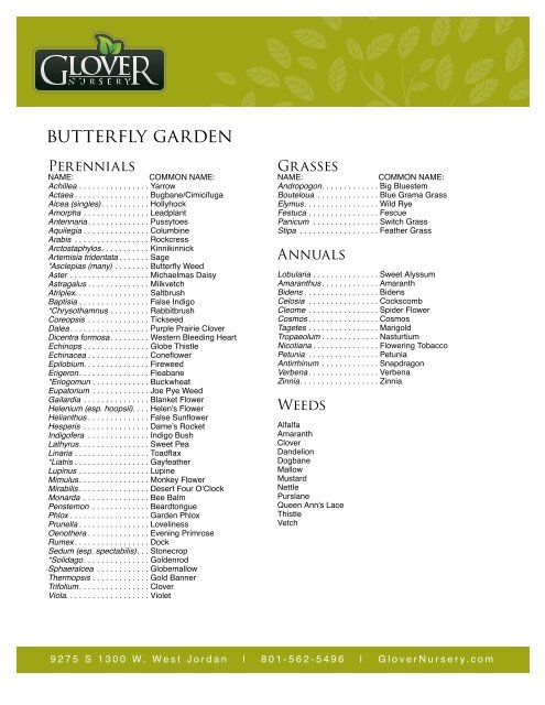 Erfly Garden Perennials Glover Nursery Erfly Garden Perennials Glover