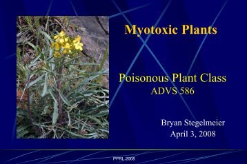 Poisonous Plant Class Myotoxic Plants