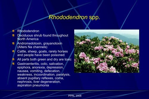 Poisonous Plant Class Myotoxic Plants