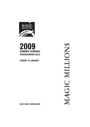 PDF Catalogue - Magic Millions