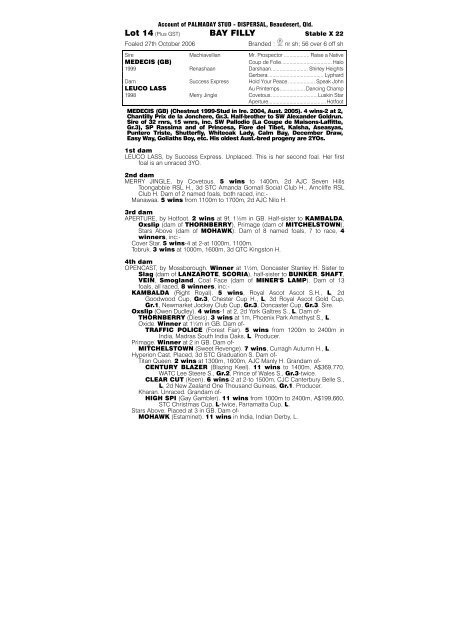 PDF Catalogue - Magic Millions