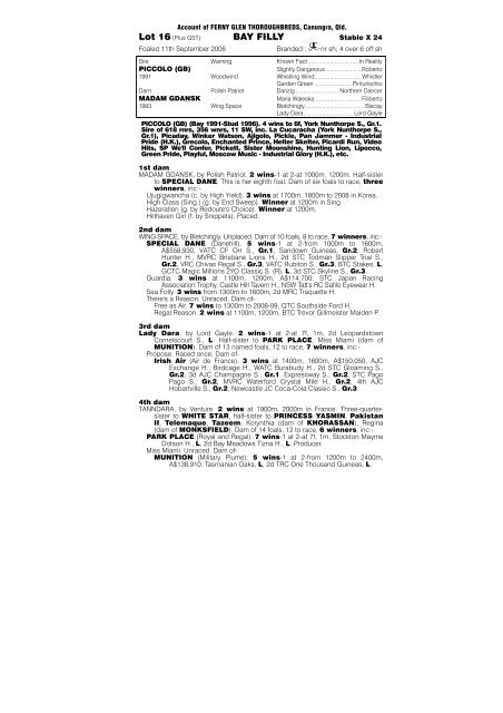 PDF Catalogue - Magic Millions