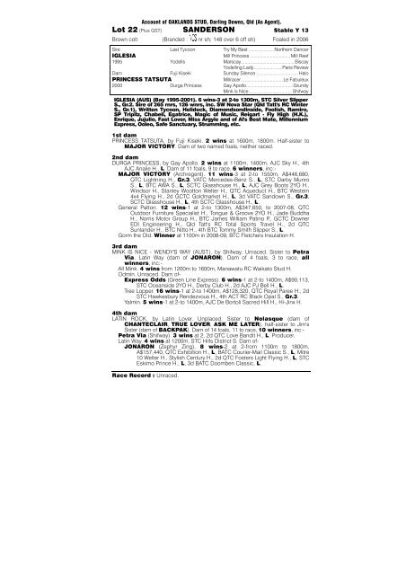 PDF Catalogue - Magic Millions