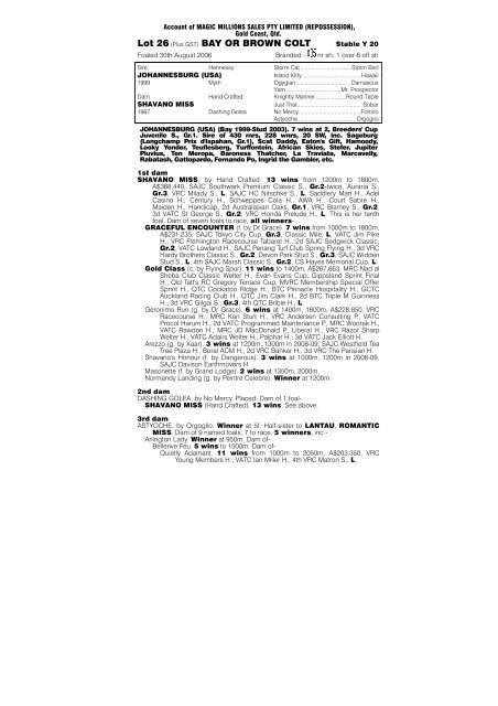 PDF Catalogue - Magic Millions