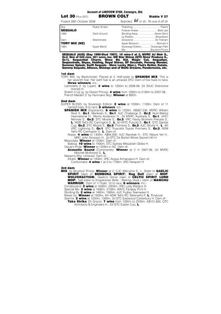 PDF Catalogue - Magic Millions