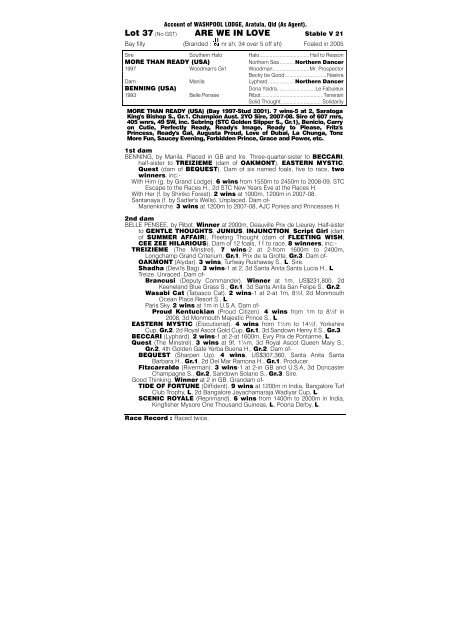 PDF Catalogue - Magic Millions