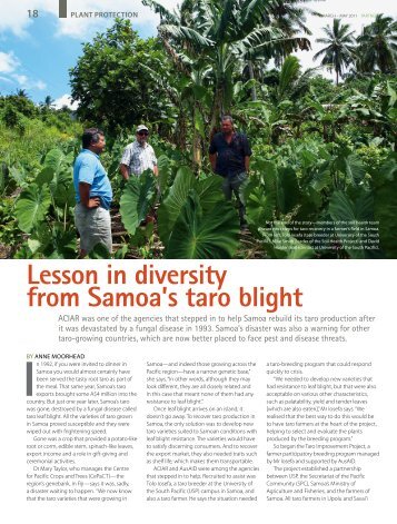 Lesson in diversity from Samoa's taro blight - Australian Centre for ...