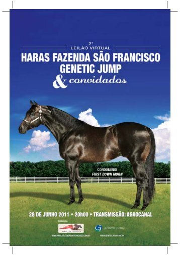 Ventre para livre acasalamento. - Haras Fazenda São Francisco