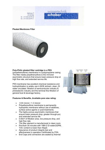 Pleated Membrane Filter Poly-Philic pleated filter cartridge is a PES ...