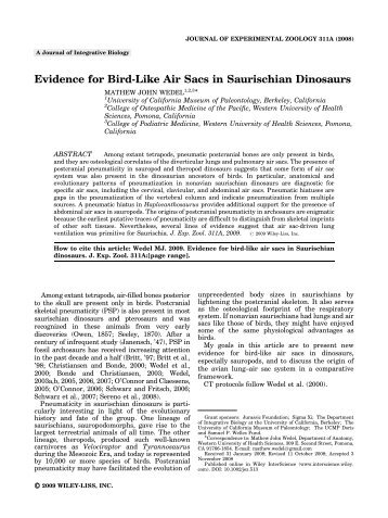 Evidence for bird-like air sacs in Saurischian dinosaurs