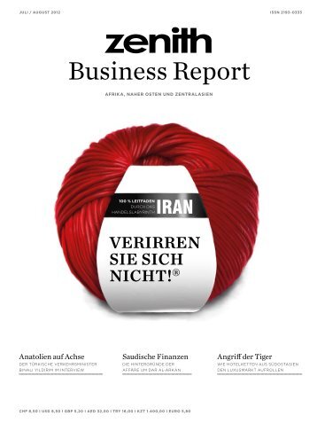 Business Report - Zenith