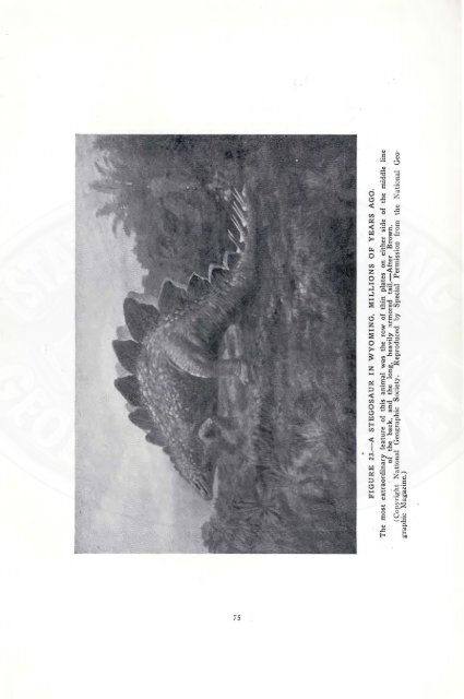 The Dinosaurs of Wyoming - Wyoming State Geological Survey ...