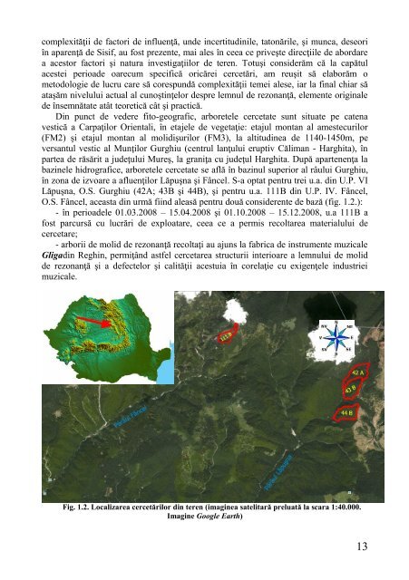 pdf romana - Universitatea Transilvania