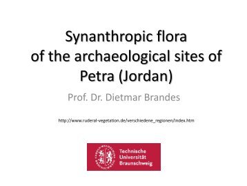 Synanthropic flora of Petra (Jordan)