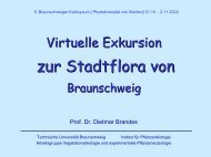 Virtuelle Exkursion zur Stadtflora von Braunschweig